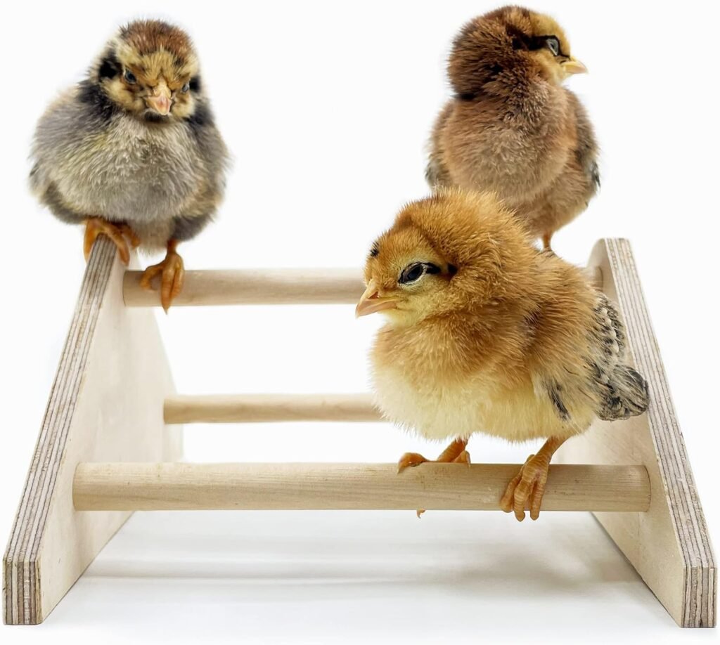 Backyard Barnyard Mini Chick Perch Strong Roosting Bar Made in The USA!!! Jungle Gym Chicken Toys for Coop and Brooder for Baby Chicks El Pollitos La Pollita Pollos Gallinas Polluelos