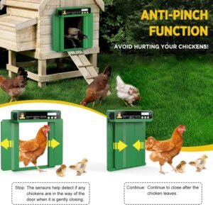 chickcozy automatic chicken coop door opener review