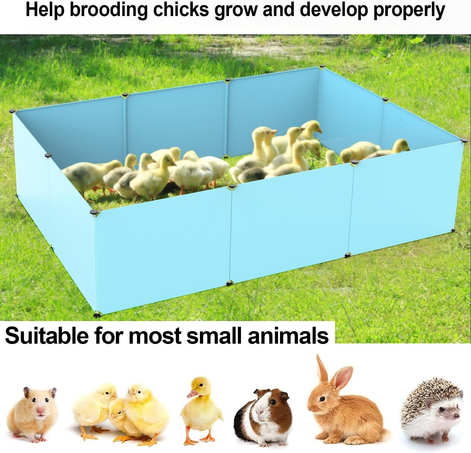 Chicken Brooder Box for Chick Starter Kit, Baby Chicken Supplies, 10pcs Safe  Reusable Plastic Boards(11.8 * 15.7inch) with 22 Fixing Clips