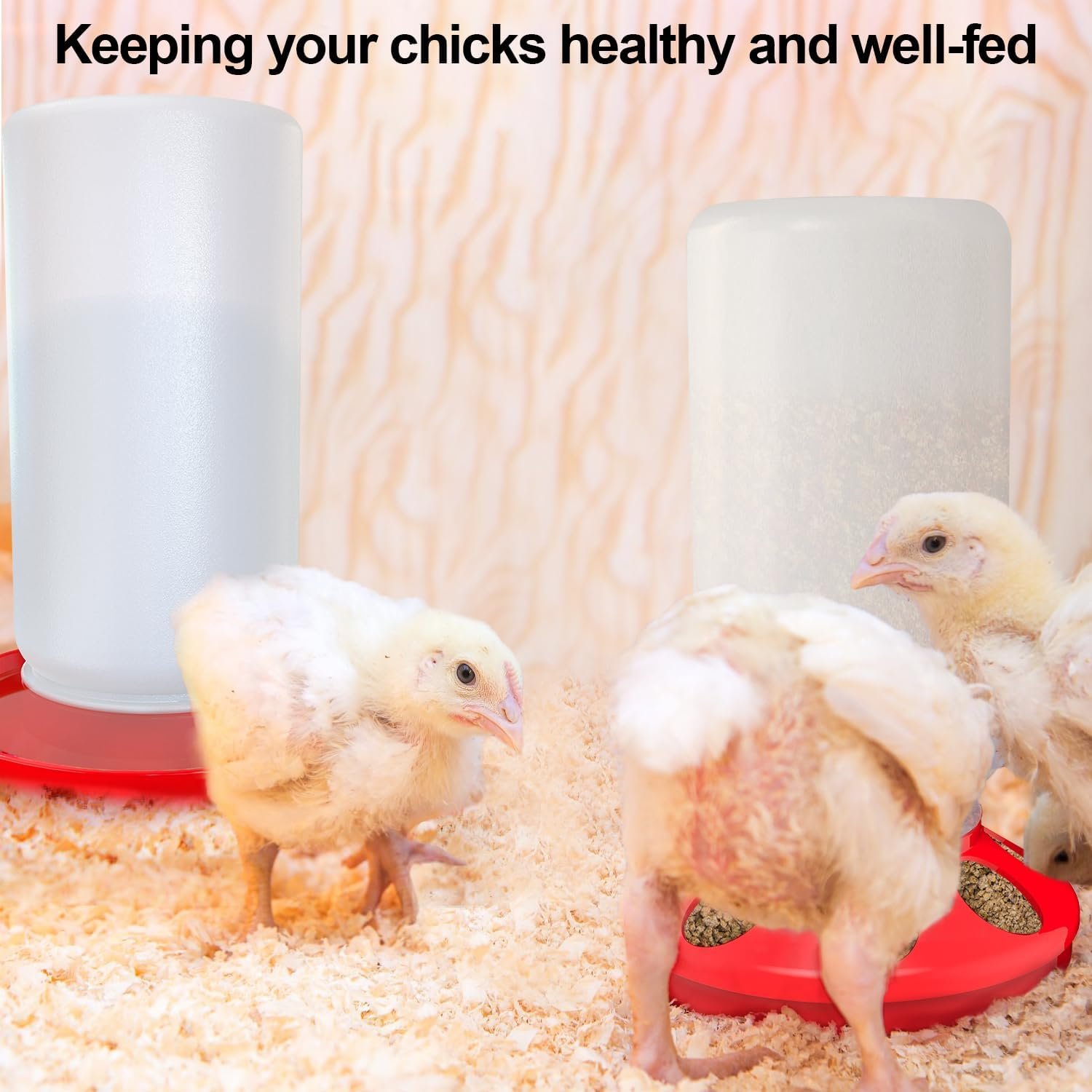 chicken brooder box review