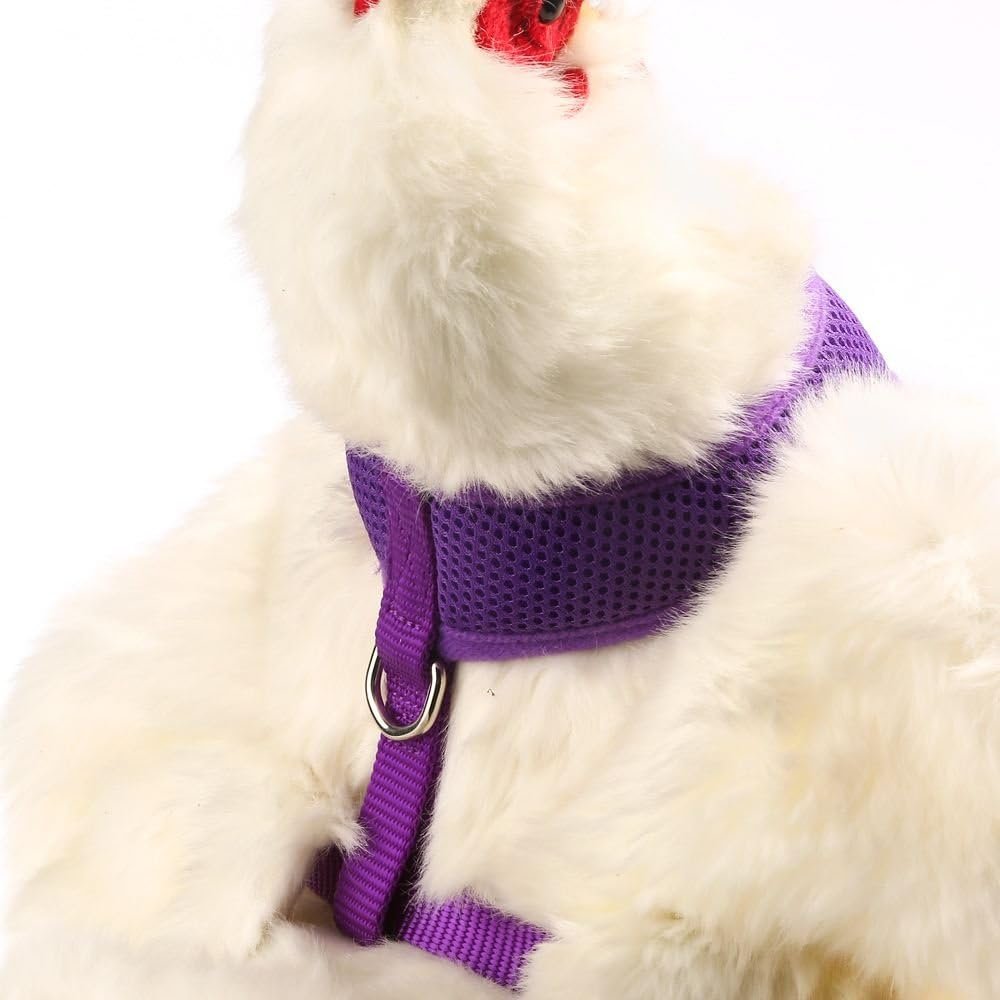 chicken harness purple x small review