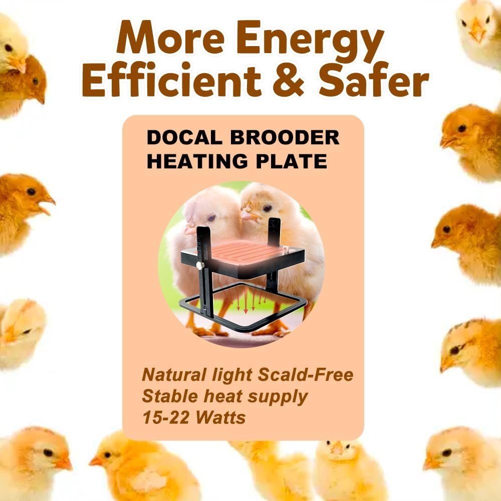 docal chicken brooder heater review
