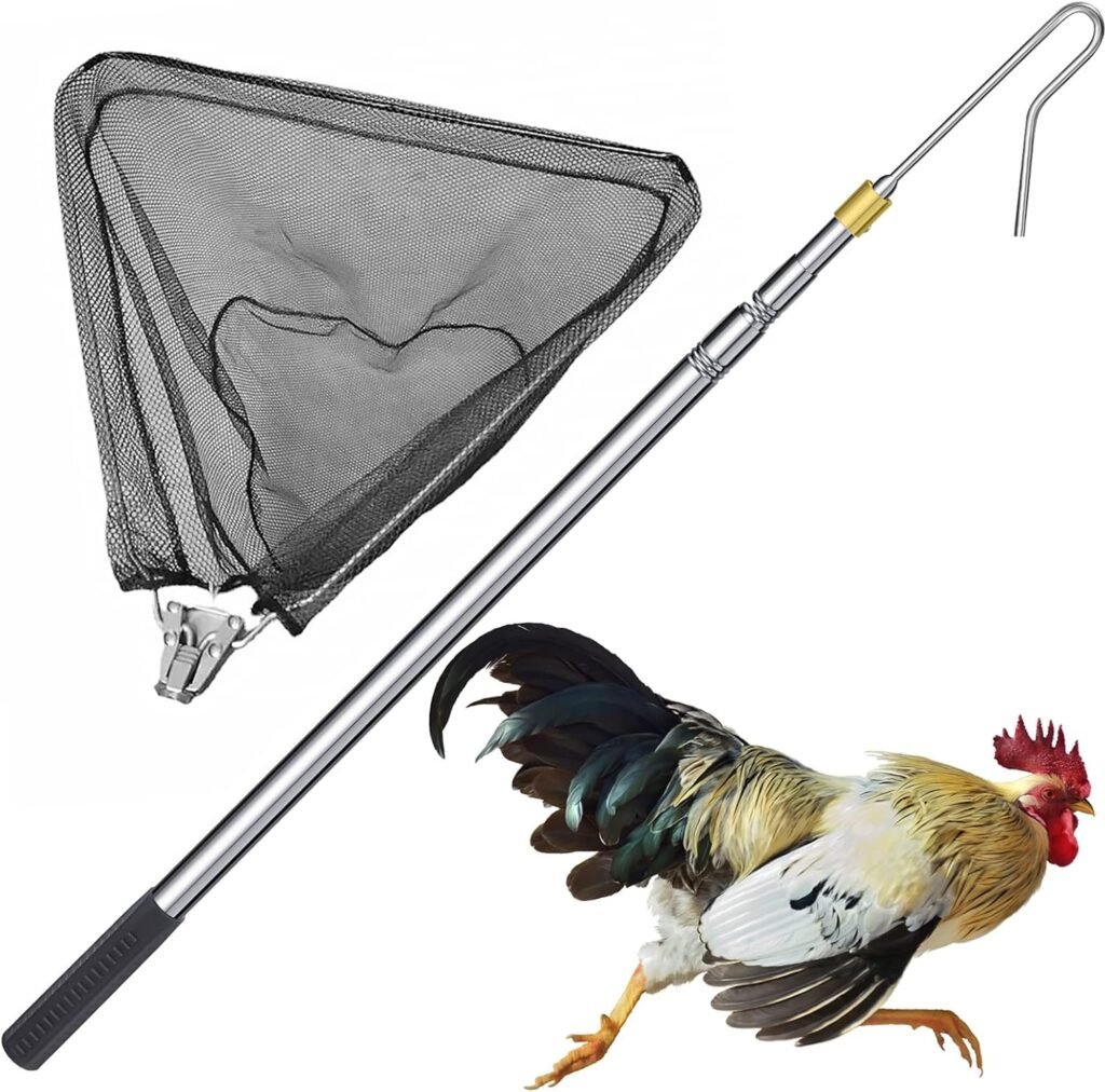 from beak to tail essential chicken care supplies every owner needs