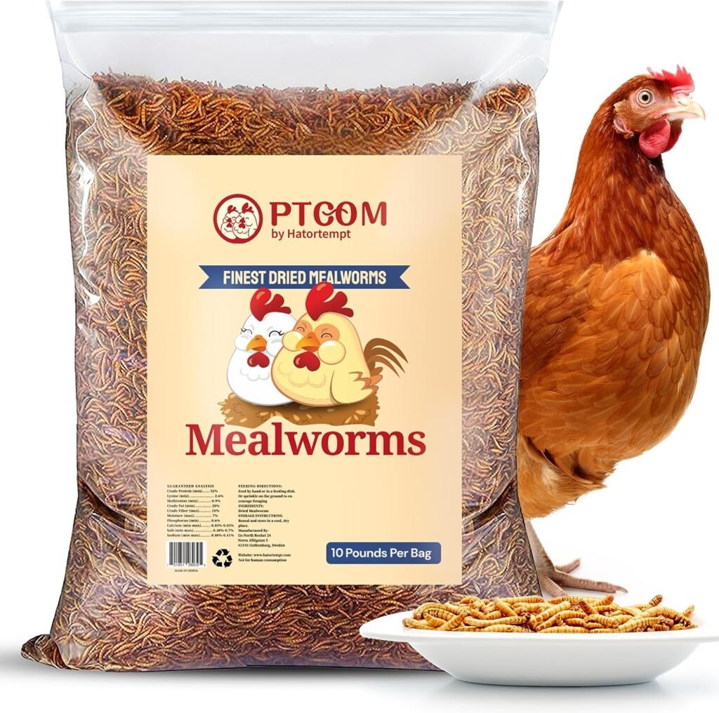 hatortempt 10lbs mealworms review