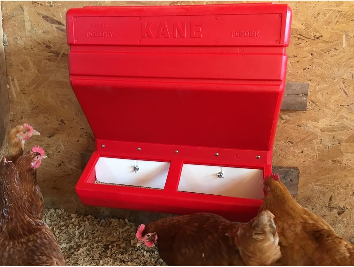 KANE Poultry Feeder