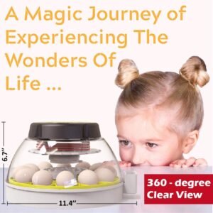 kebonnixs 12 egg incubator review