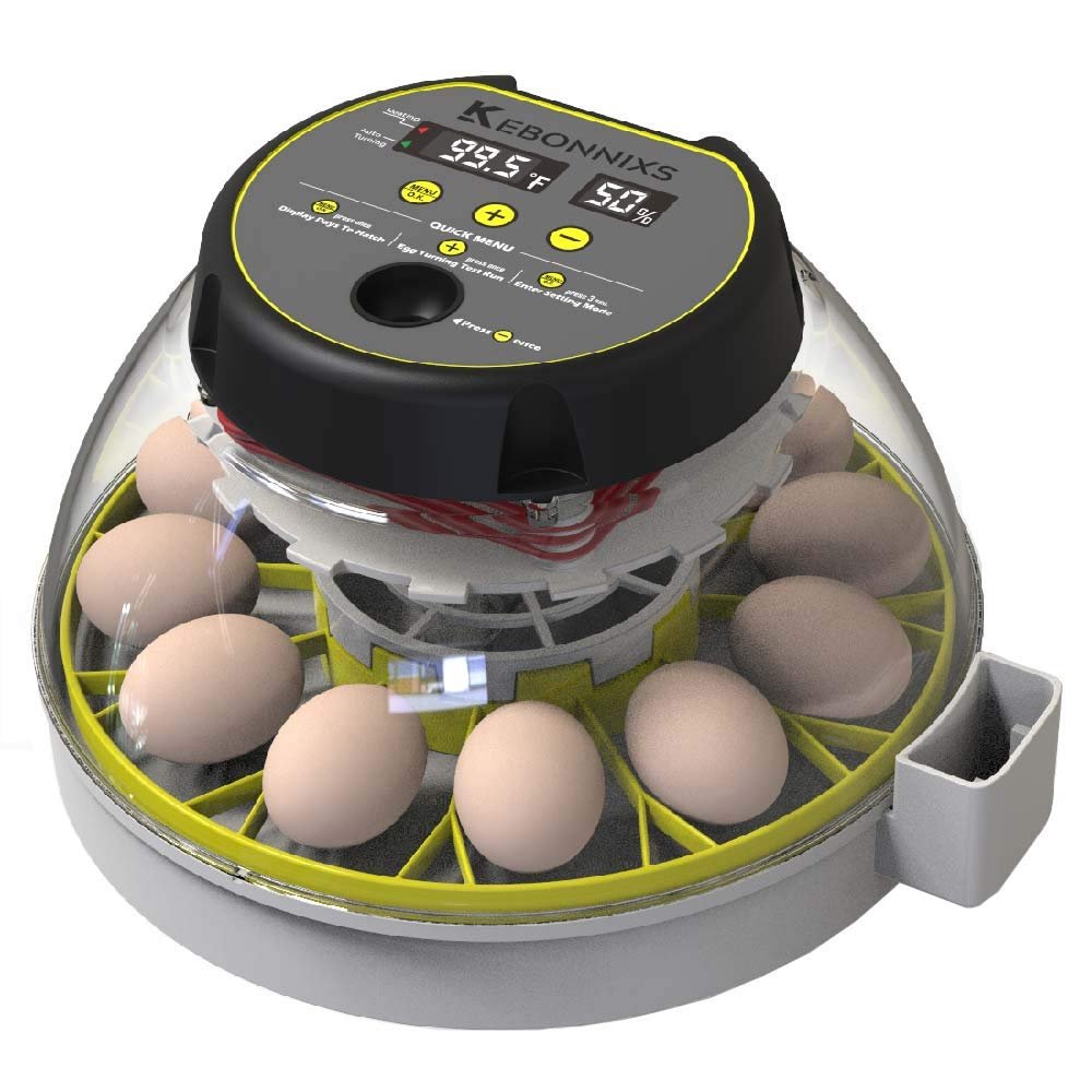 kebonnixs 12 egg incubator with humidity display egg candler automatic egg turner for hatching chickens