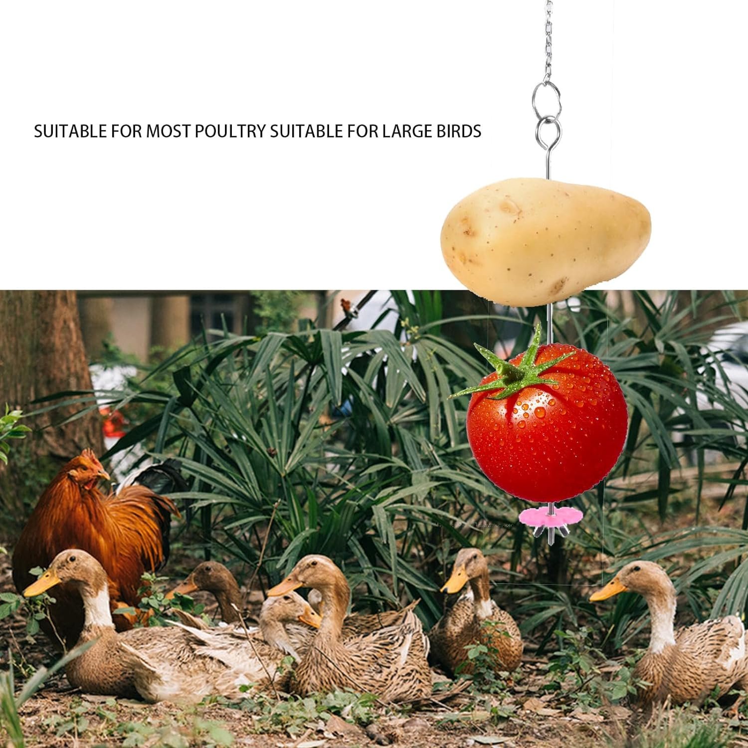 KIEYYRYT 3PCS Hanging Vegetable Chicken Feeder, Hen and Large Bird Chicken Accessories Toys are Suitable for Outdoor and Large Chicken Coop