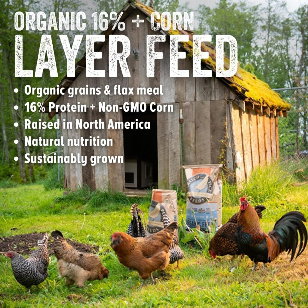 organic layer chicken feed with corn review