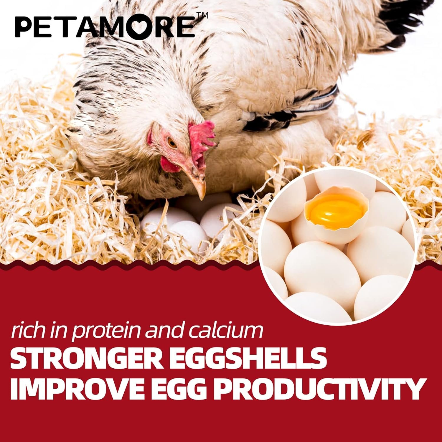 petamore 36 Premium Pulp Egg cartons- Together with 5Lbs Dried BSFL meally Worm Treats for Laying hens, Boosting More Eggs and Healthier Poultry