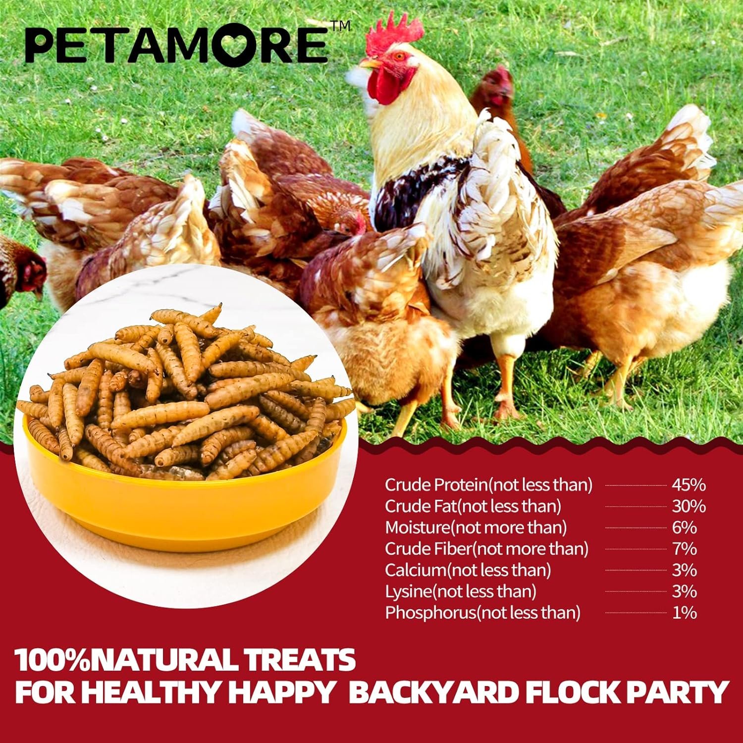 petamore 36 Premium Pulp Egg cartons- Together with 5Lbs Dried BSFL meally Worm Treats for Laying hens, Boosting More Eggs and Healthier Poultry