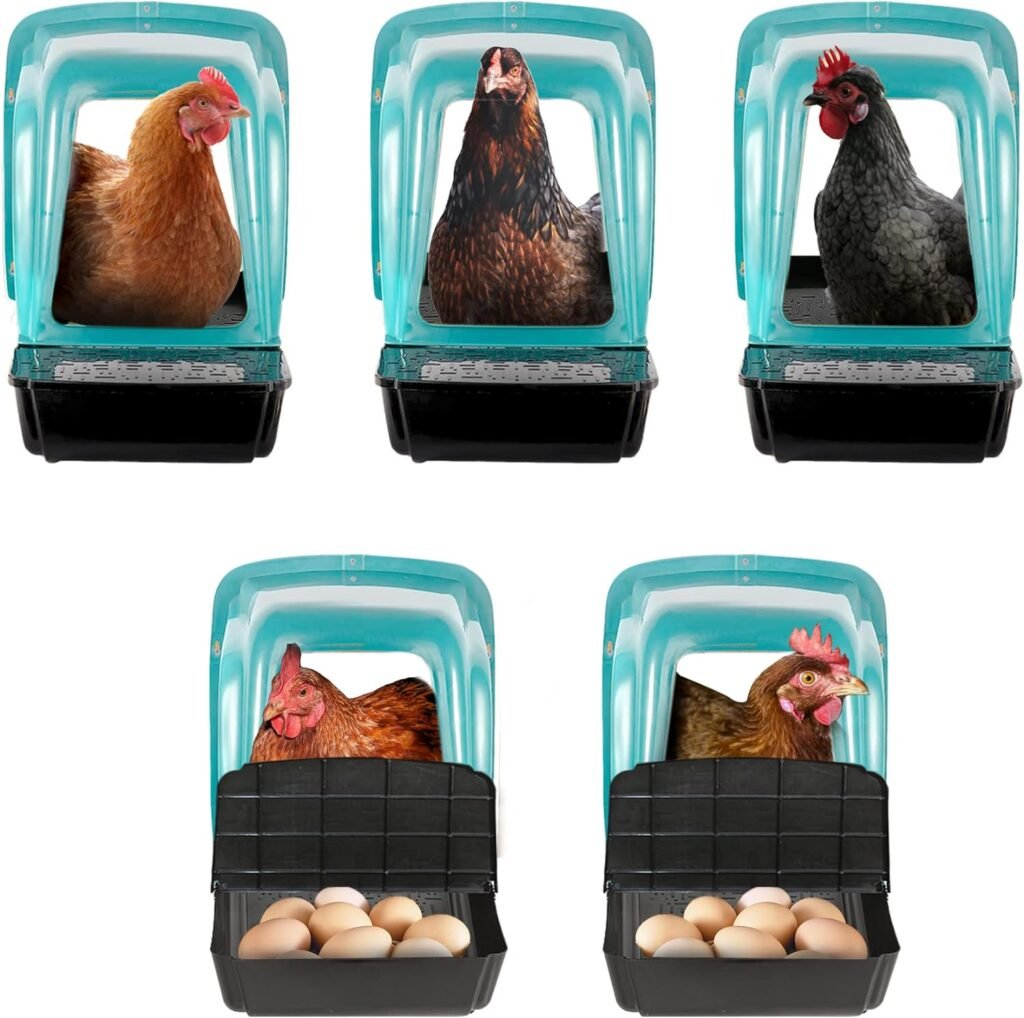Tossca Nesting Boxes for Chicken Coop | Roll Away Hen House for Laying Eggs | Durable Plastic Chick Brooder Box with Perch  Pull Out Egg Tray for Poultry Farm | Chicken Coop Accessories (Pack of 5)