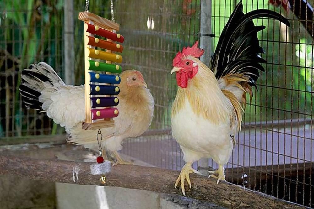 Vehomy Chicken Xylophone Toy for Hens Suspensible Wood Xylophone Toy with 8 Metal Keys Chicken Coop Pecking Toy with Grinding Stone (Rainbow Color)