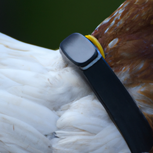 what are the best tech tools to monitor chicken health and detect diseases early