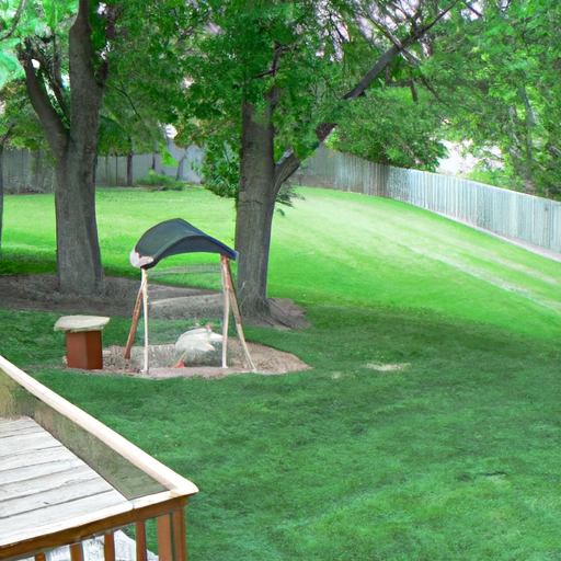 what are the space requirements per chicken for backyard keeping