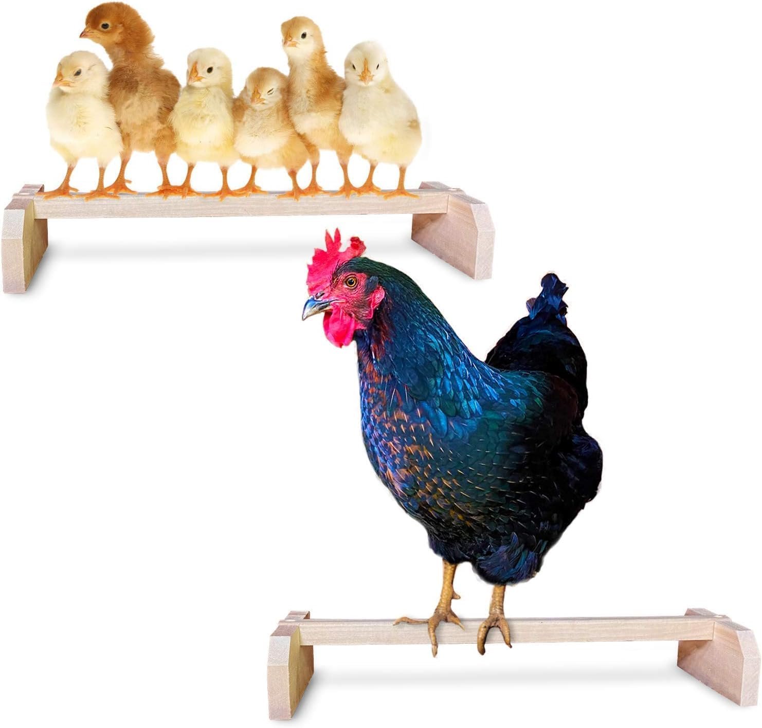 2 Pack Chicken Perch Strong Wooden Roosting Bar Made in USA Solid Accessories and Toys for Coop and Brooder for Large Bird Baby Chicks Pollos Gallinas Polluelos Parrots by Backyard Barnyard