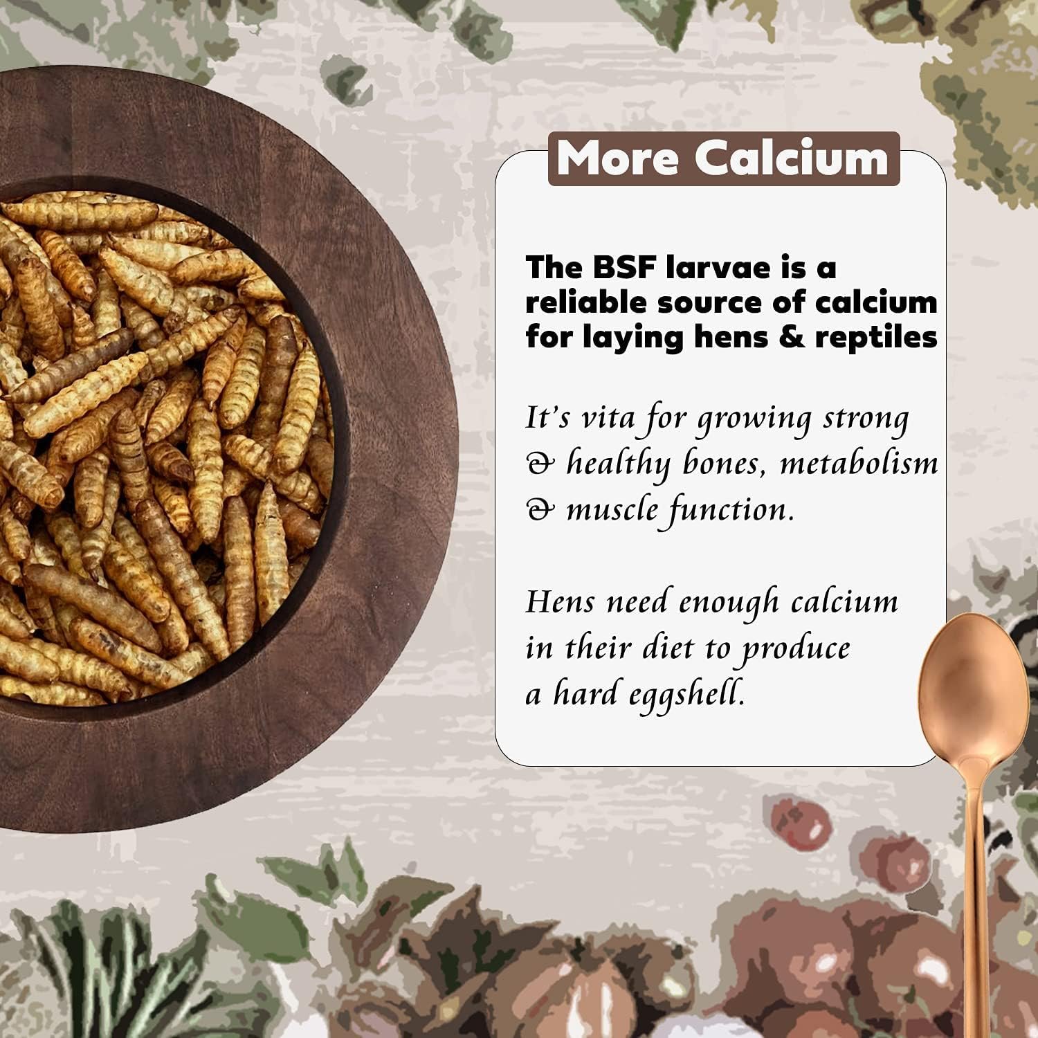 adaman Dried Black Soldier Fly Larvae 5 LBS-100% Natural Non-GMO BSF Larvae-More Calcium Than Dried Mealworms High-Protein Chickens Treats, Food for Wild Birds, Ducks, Layer Hens