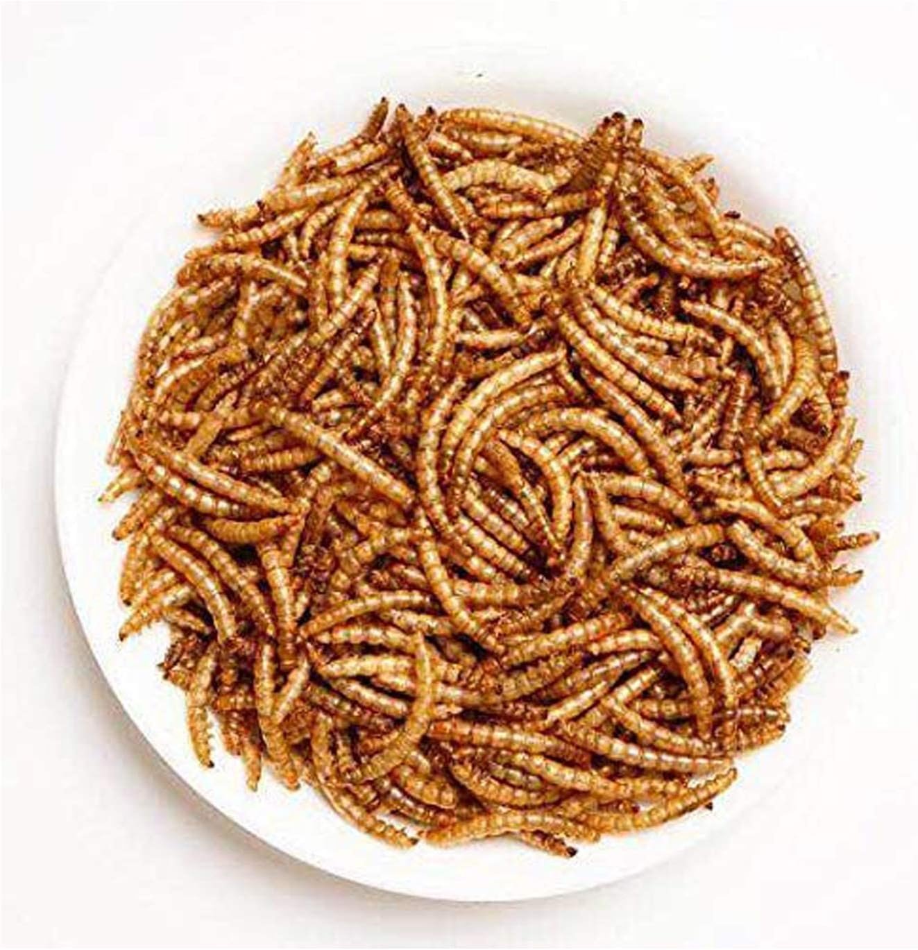Amzey Appetizing Mealworms 5 LBS- 100% Non-GMO Dried Mealworms - Large Meal Worms - High Protein Treats- Perfect Mealworm for Chickens, Ducks, Turtles, Blue Birds, Lizards - Bag of Mealworms 5 LBS