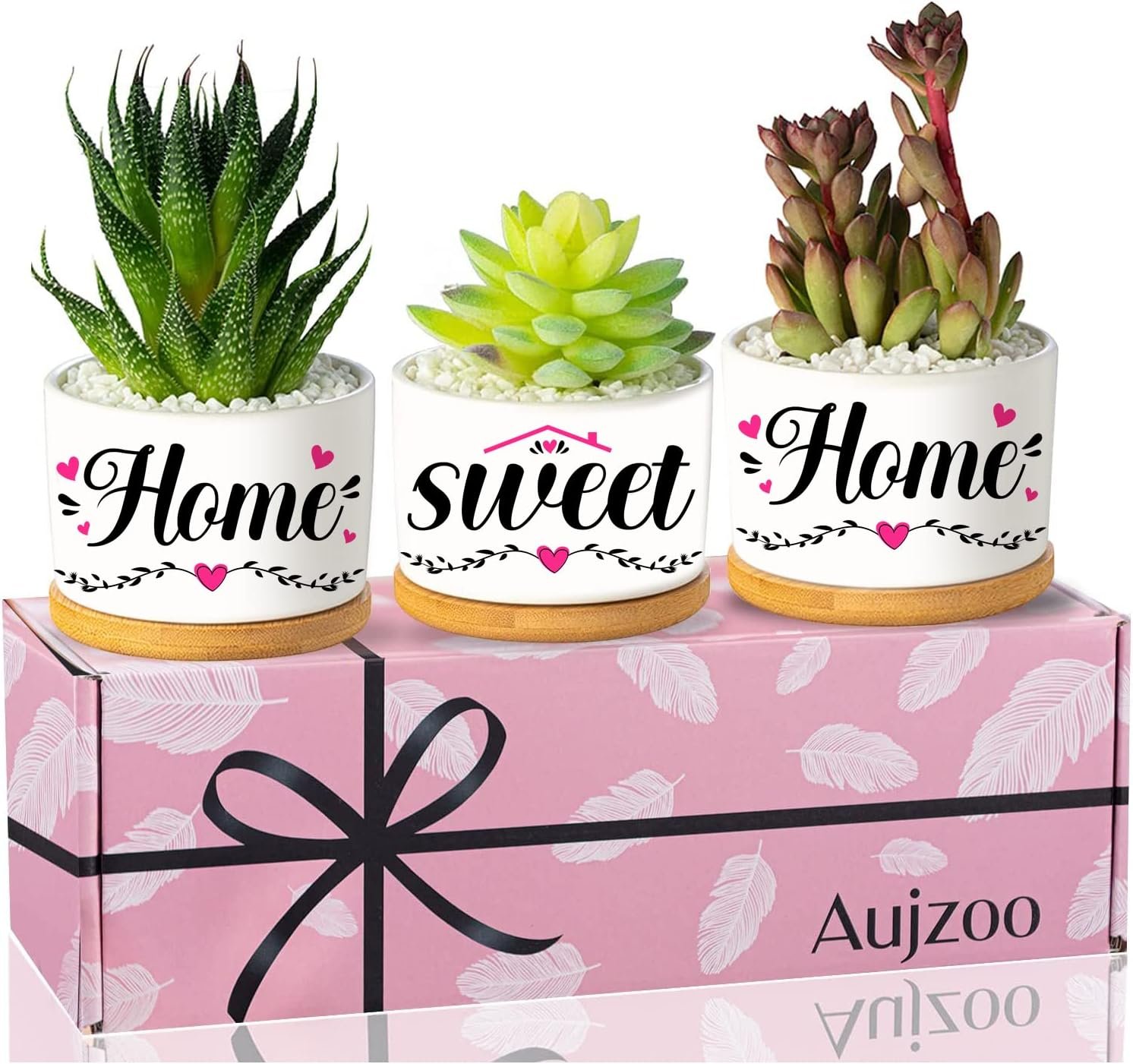 Aujzoo Housewarming Gifts, Home Sweet Home Presents for New Home Ideas for Women Succulent Pots for Neighbor