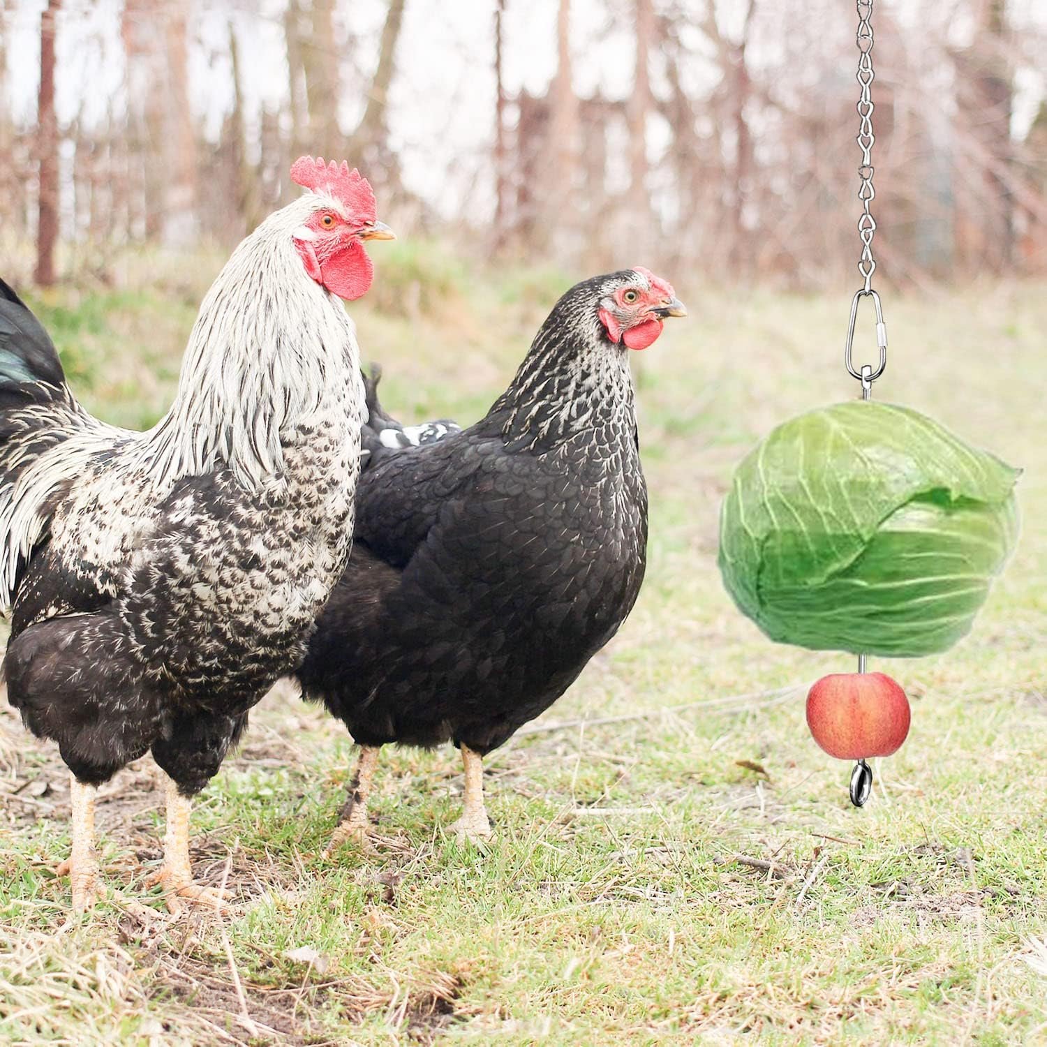 Chicken Veggies Skewer Vegetable Coop Hanging Chicken Feeder Toy for Hen, Rooster, Duck, Poultry