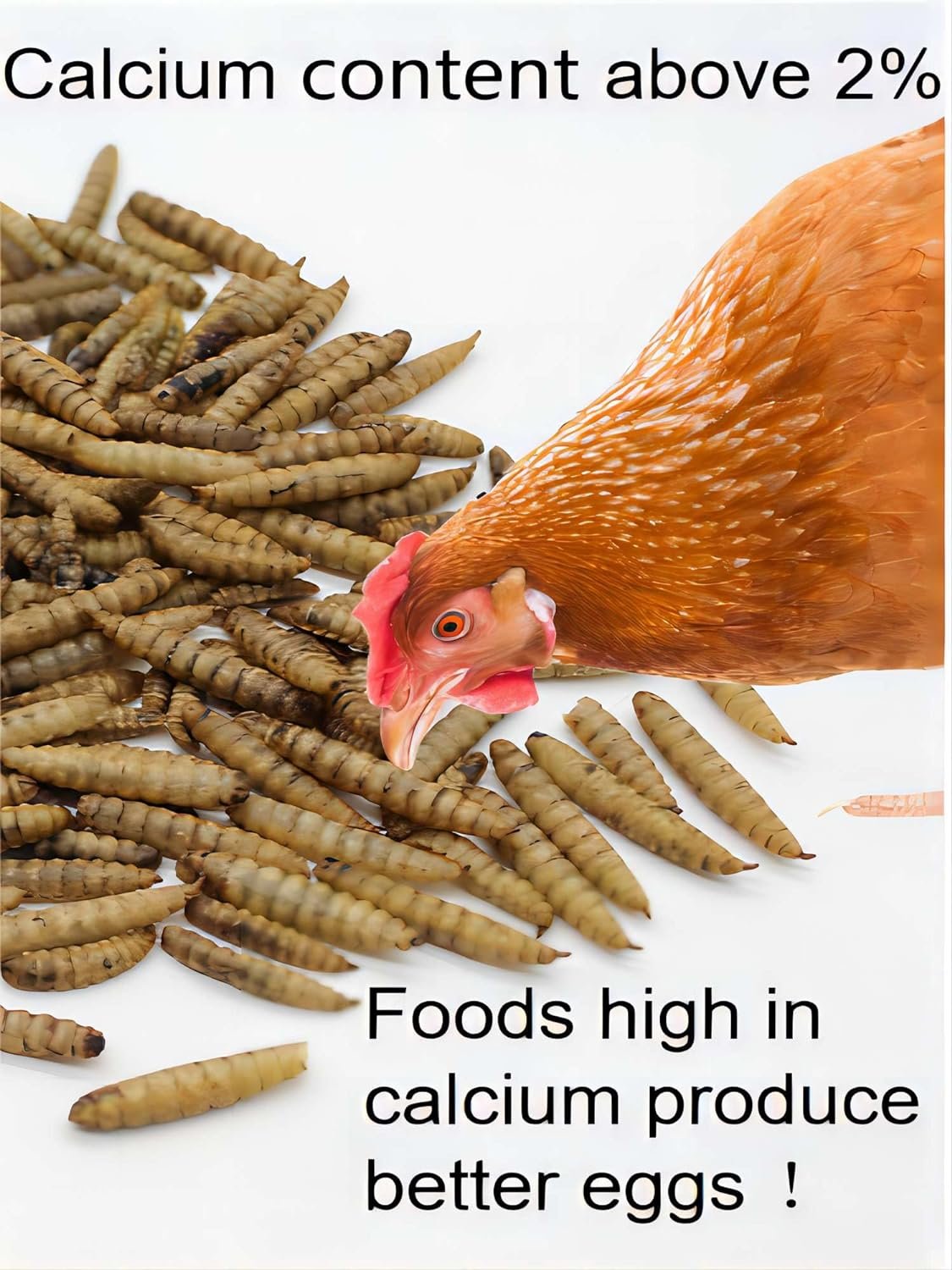 Classic Flock 5LB BSF Larvae -50X More Calcium Than Mealworms Non-GMO Poultry Feed for Chickens, Hens, Ducks