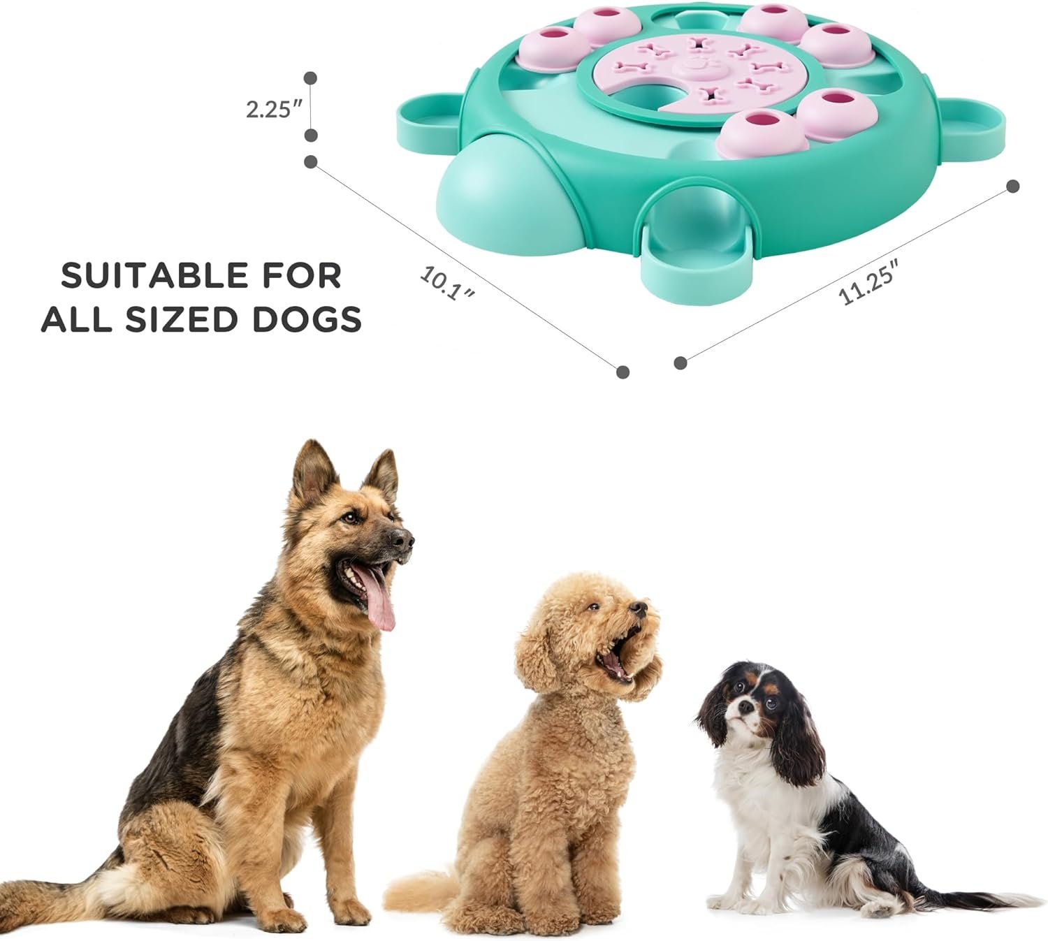 Codi Dog Puzzle Toys - Dog Food Puzzle Feeder Toys for IQ Training, Mental Enrichment Interactive Dog Toys for Small Medium Dogs (Tortoise)