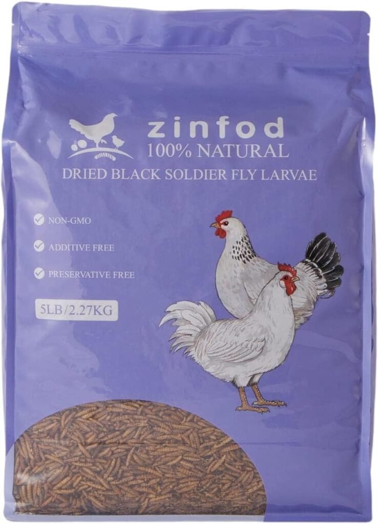 comparing dried insect treats chicken feed and leg bands