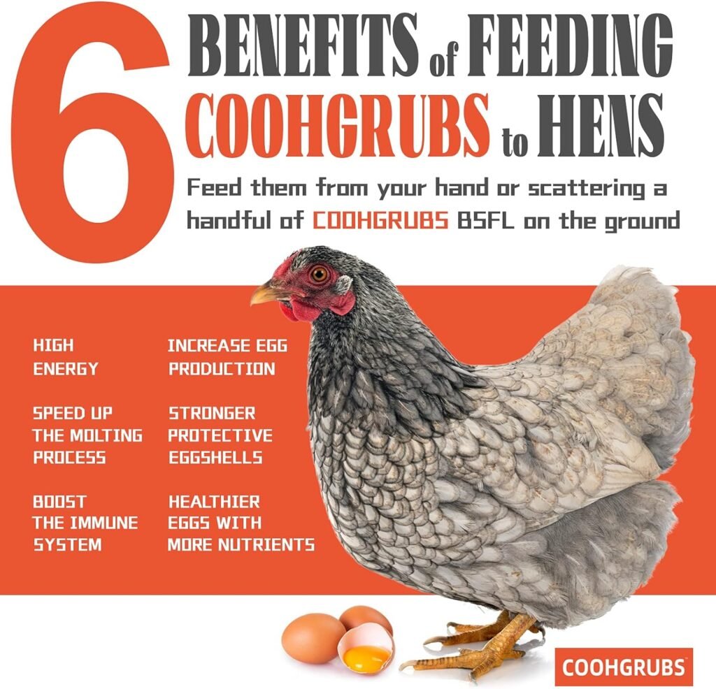 coohgrubs dried larvae chicken treats review