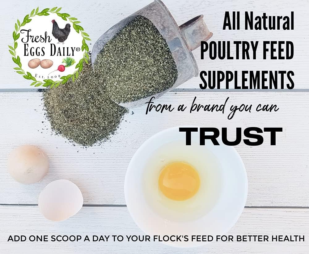 FRESH EGGS DAILY Organic Coop Kelp Feed Supplement Vitamins for Backyard Chickens and Ducks 1LB