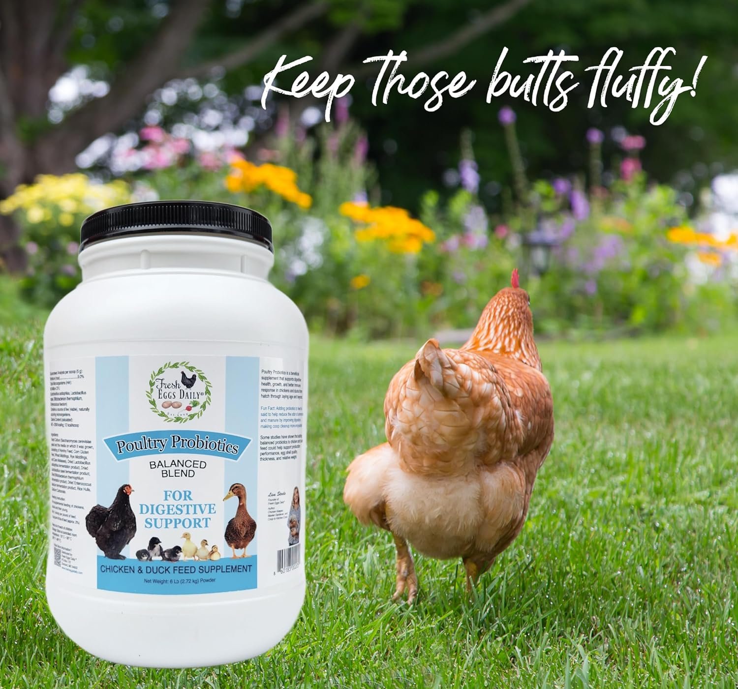 FRESH EGGS DAILY Poultry Probiotics Feed Supplement Vitamins for Backyard Chickens and Ducks 6LB