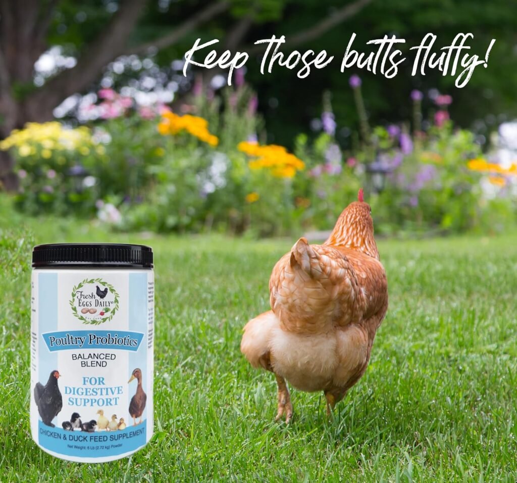 fresh eggs daily probiotics feed supplement review