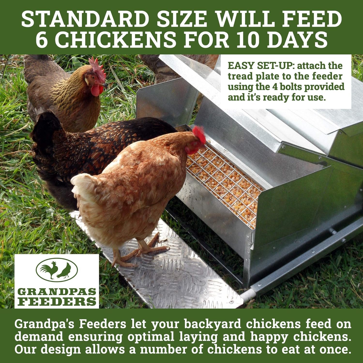 Grandpas Feeders Automatic Chicken Feeder - Sturdy Galvanized Steel Poultry Feeders - No Spill with Weatherproof Lid - Standard Size for 6-12 Chickens 10 Days (20lb Feed)