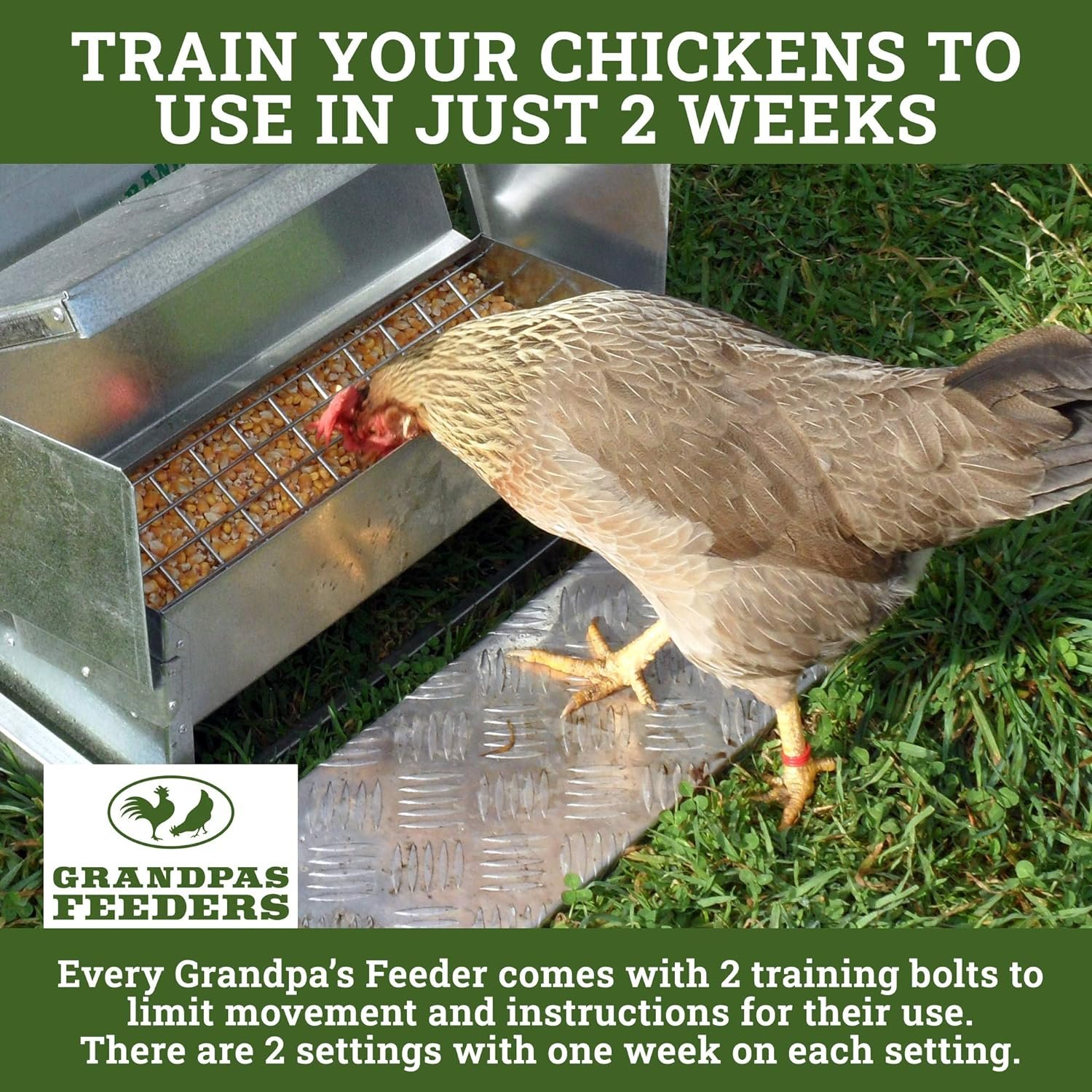 Grandpas Feeders Automatic Chicken Feeder - Sturdy Galvanized Steel Poultry Feeders - No Spill with Weatherproof Lid - Standard Size for 6-12 Chickens 10 Days (20lb Feed)