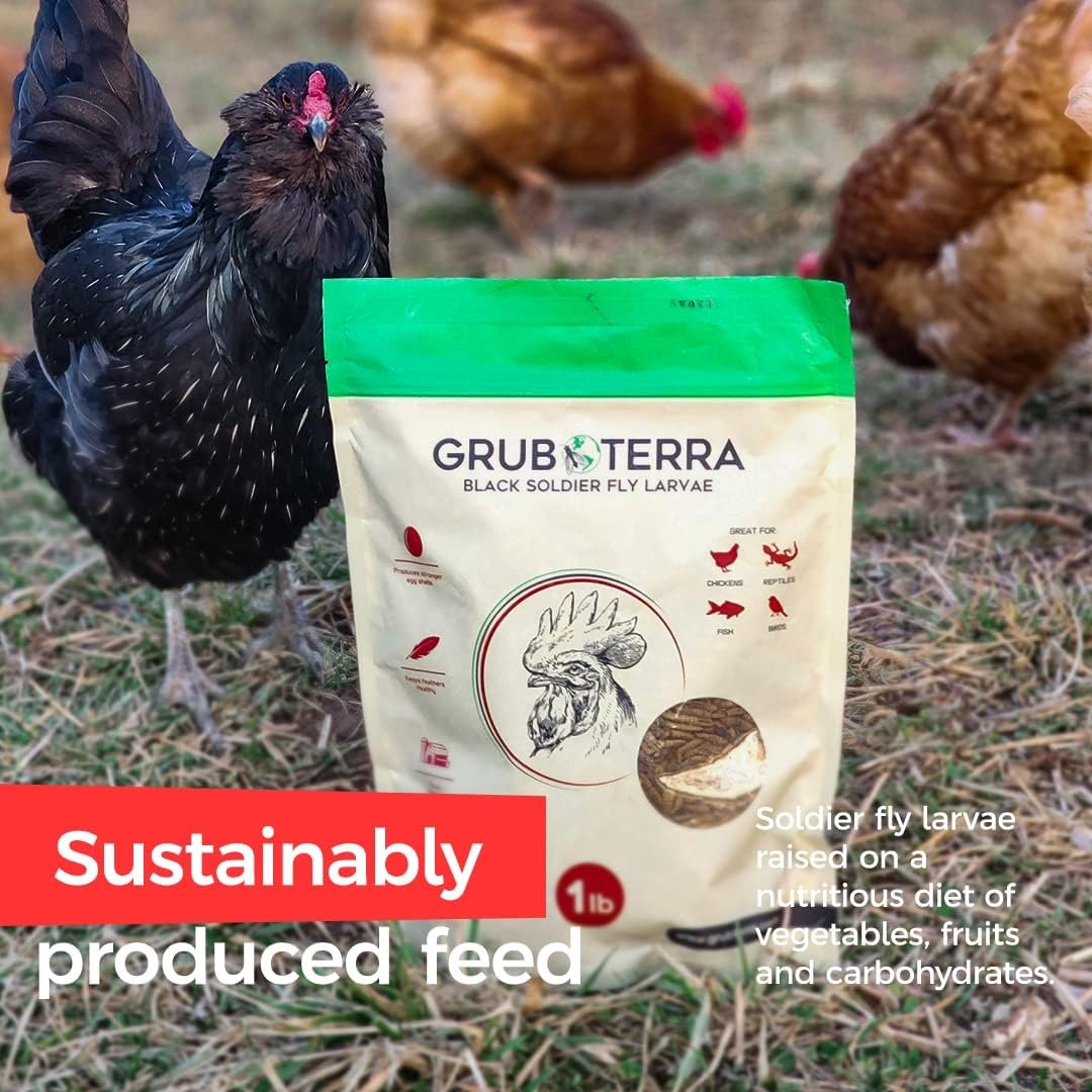 GrubTerra Natural Healthy Chicken Treats, Black Soldier Fly Larvae Made in USA and Canada, for Chicken, Ducks, and Wild Birds, 75x More Calcium Than Dried Mealworms