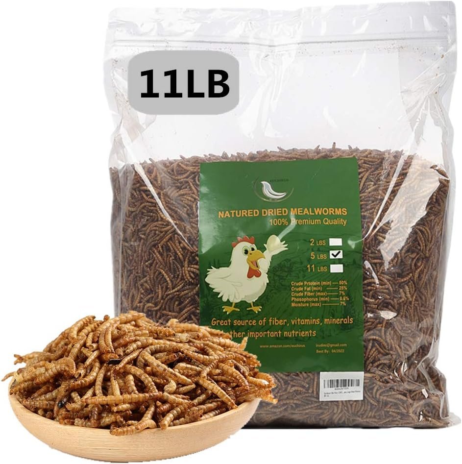 HANDPOINT 11 lbs Dried Mealworms, 100% Non-GMO Natural High-Protein,Treats for Chicken, Fish, Bird Food(11LB)