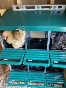 homestead essentials nest box review