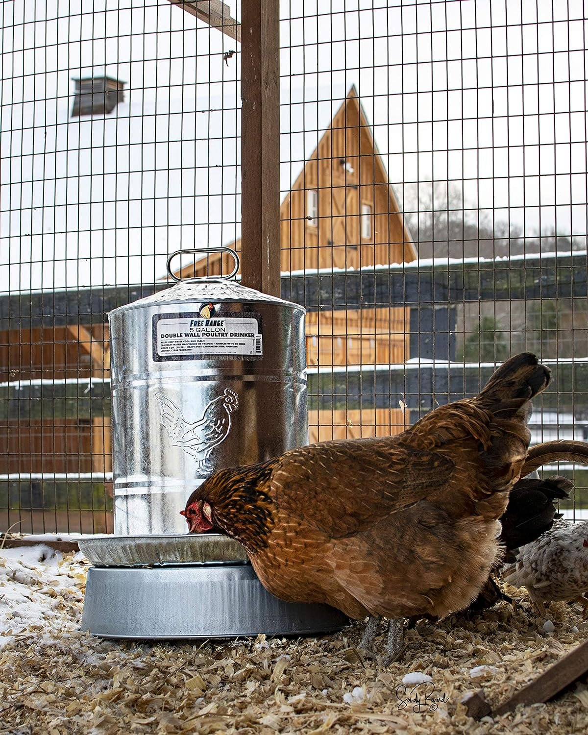 Manna Pro Chicken Supplies | Chicken Waterer Heated Base | Harris Farms Poultry Drinker | Chicken Coop Accessories