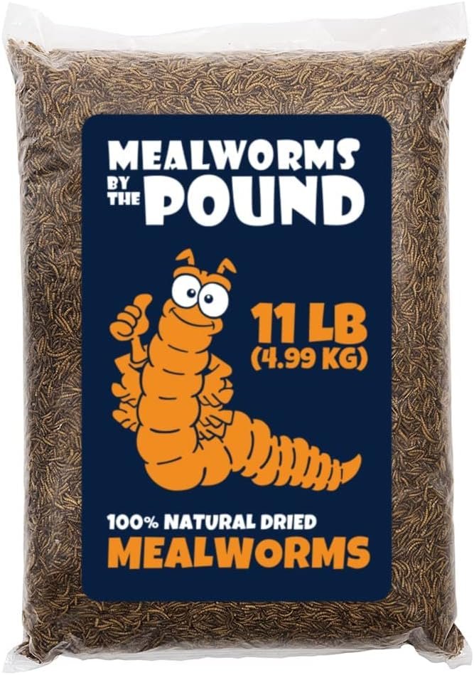 MBTP Bulk Dried Mealworms - Treats for Chickens  Wild Birds (11 Lbs)