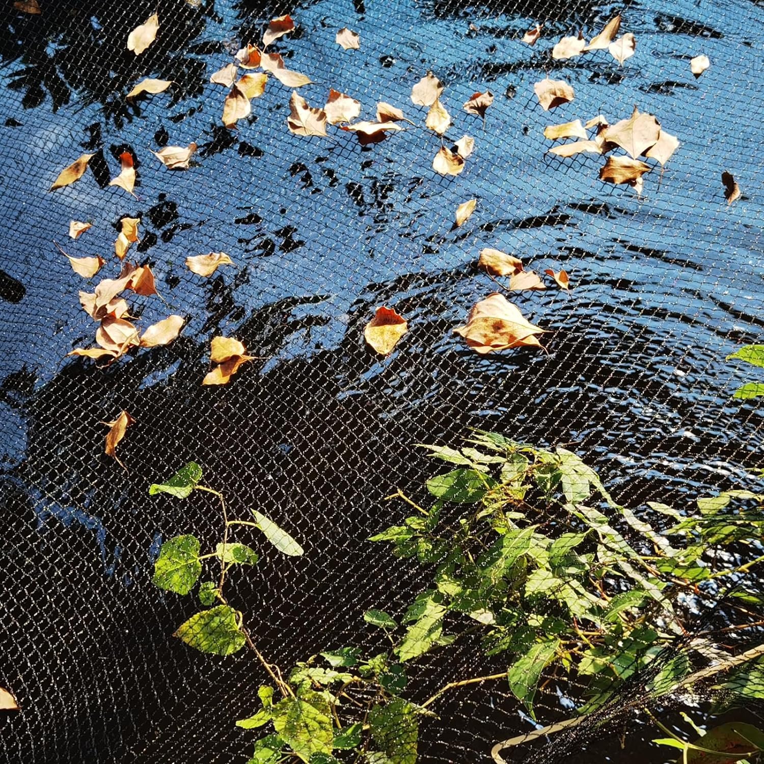 Meanchen Pond Netting 20 X 20 FT,Pool Cover Net,Pond Netting for Leaves Protects Koi Fish from Birds, Cats and Predators,Black