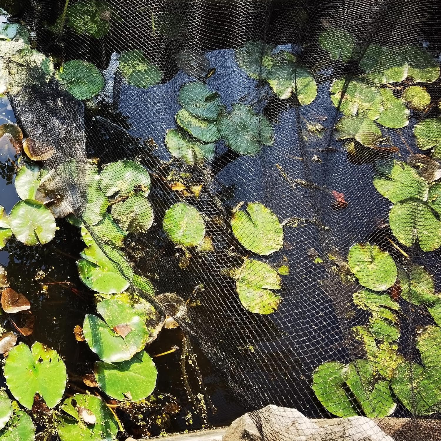 Meanchen Pond Netting 20 X 20 FT,Pool Cover Net,Pond Netting for Leaves Protects Koi Fish from Birds, Cats and Predators,Black