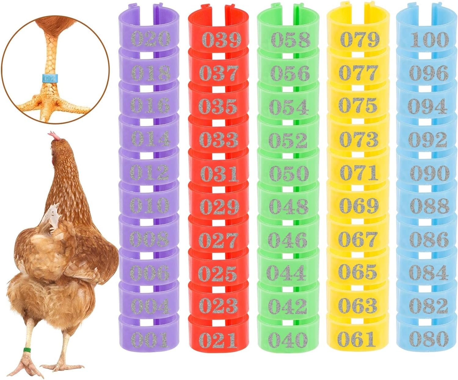MEWTOGO 100 Pcs Chicken Leg Rings- Colorful Numbered Chicken Identification Leg Bands Poultry Leg Bands Clip on Leg Rings for Ducks Chicks Chicken Guinea Pigeons Goose Gamefowl Turkey (16mm)