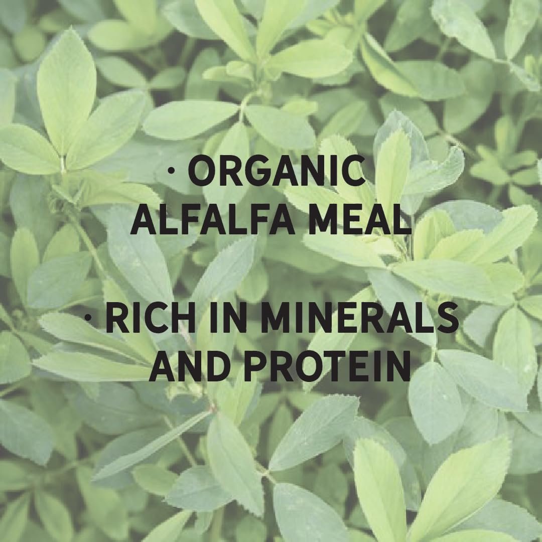 New Country Organics | Alfalfa Meal | Certified Organic and Non-GMO | Feed Grade | 50 lbs