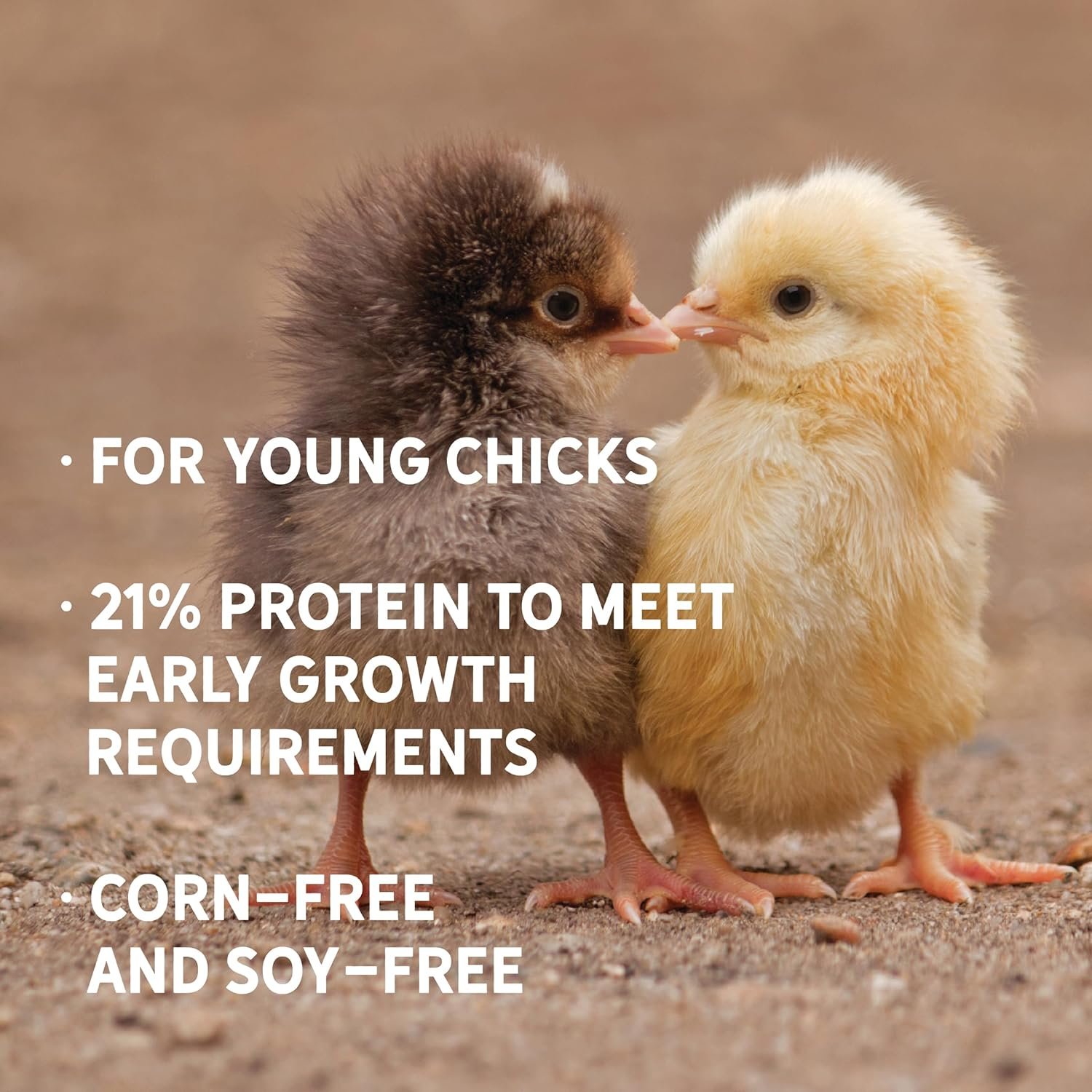New Country Organics | Starter Feed for Growing Chicks | Soy-Free and Corn-Free | 21% Protein | Certified Organic and Non-GMO | 40 lbs