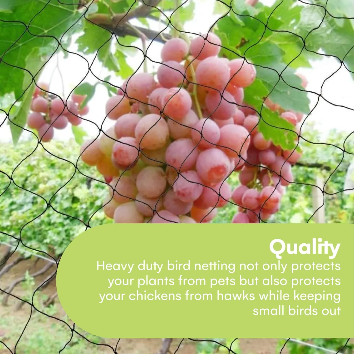 Nylon Mesh Anti Bird Netting [25 X 50] ft for Fruit Trees Used as Chicken Netting, Garden Netting, Plant Netting, Tree Protectors, Aviary Netting and Poultry Netting