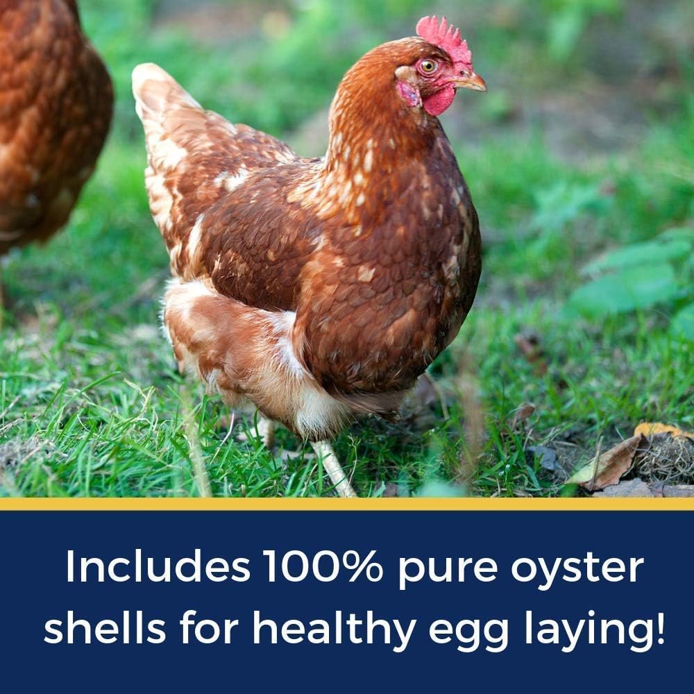 Pampered Chicken Mama Backyard Chicken Nesting Herbs for Great Eggs 10 oz - All-Natural Backyard Chicken Feed Supplies - Hen Treats for The Best Eggs Ever - High Calcium Supplement for Chickens
