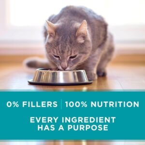 purina one cat food review