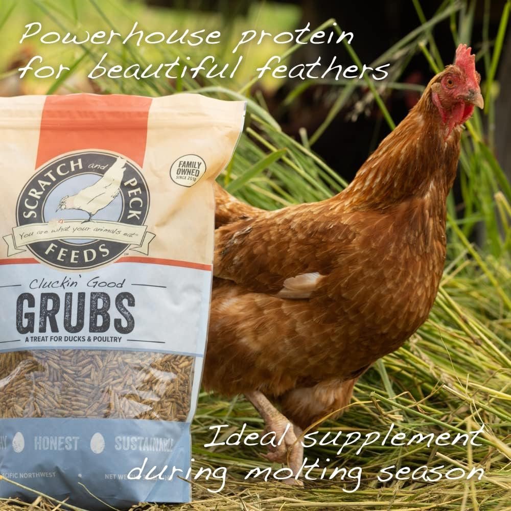 Scratch and Peck Feeds Cluckin’ Good Grubs for Chickens - Sustainably Grown in North America - Natural High Protein, Calcium Dense - Dried Black Soldier Fly Larvae Bird Treats - 3.5-lbs.