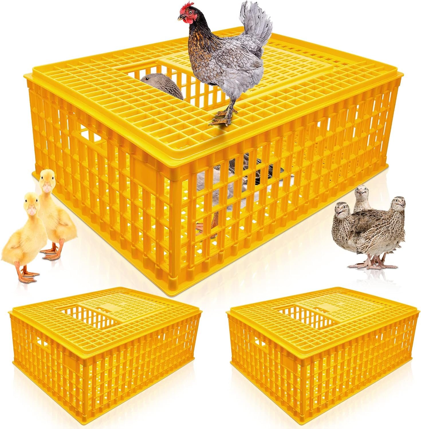 Sintuff 2 Pieces Poultry Carrier Crate Plastic Chicken Transport Cage Bird Carrier Chicken Carrier Travel Crate Basket Box for Poultry Chicken Bird Duck Goose, 29.5 x 21.7 x 11.6 Inch