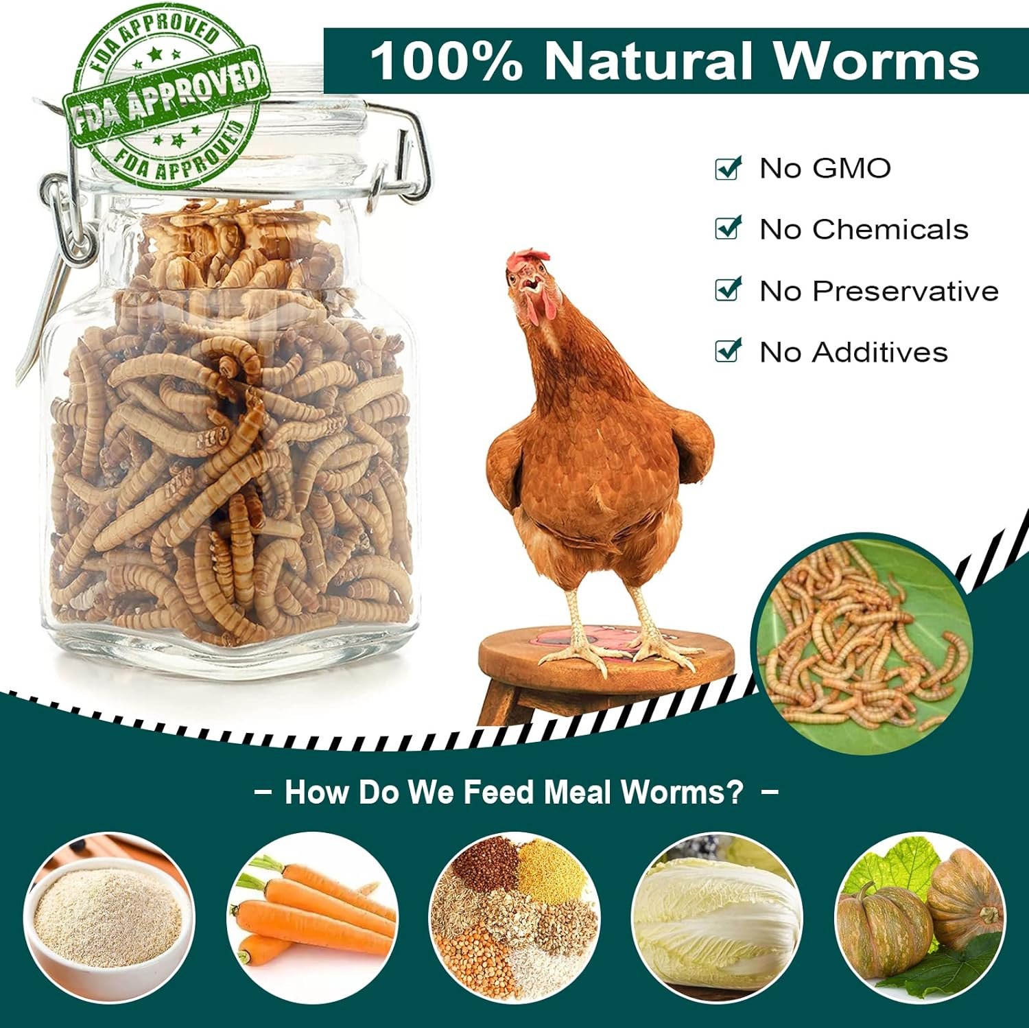 11 lbs Non-GMO Dried Mealworms for Wild Bird Chicken Fish,High-Protein,Large Meal Worms.