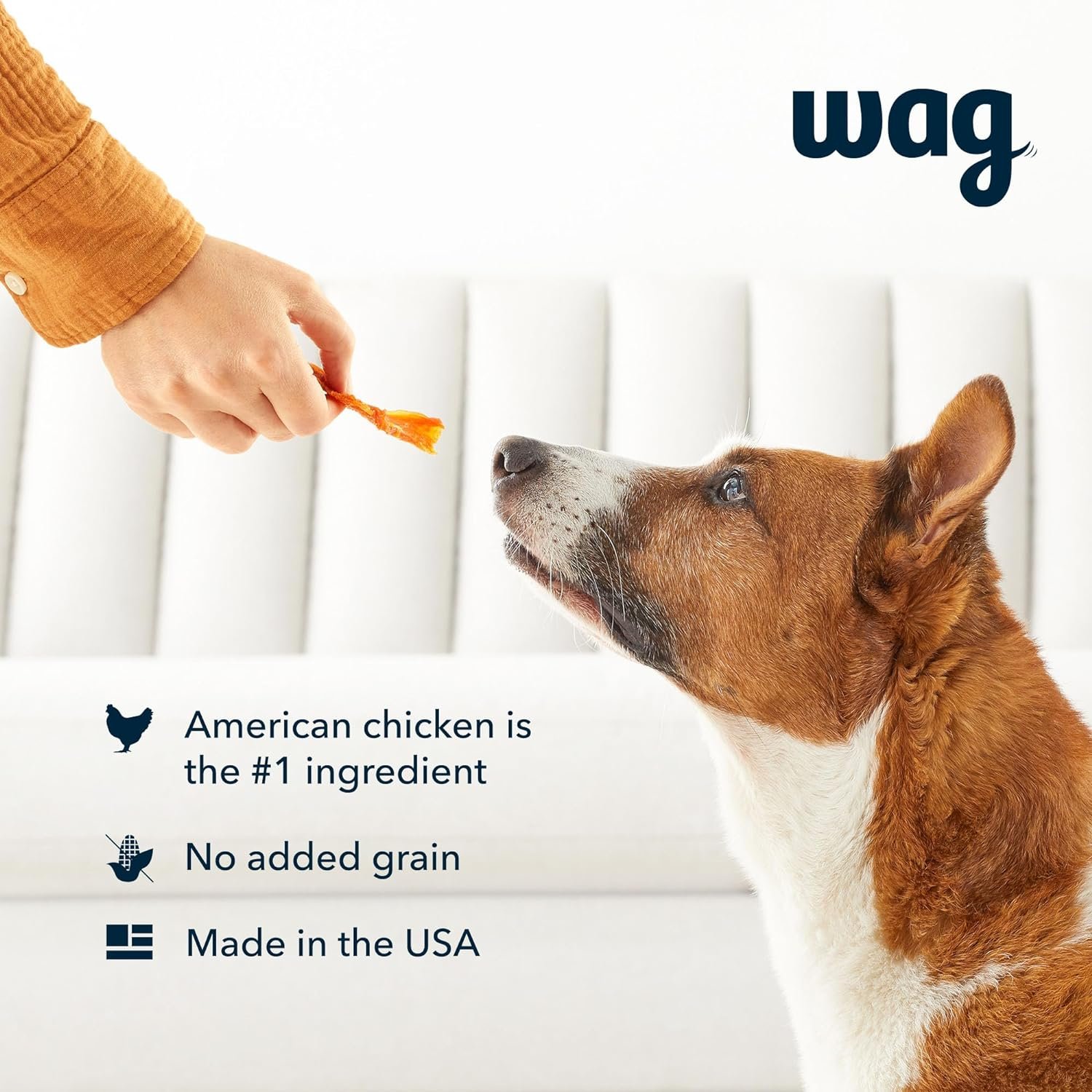Amazon Brand – Wag Chewy Whole Muscle American Jerky Dog Treats – Chicken  Flaxseed (1 lb), Grain Free